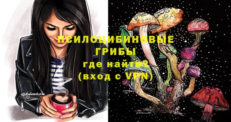 Галлюциногенные грибы Psilocybe  Вельск 